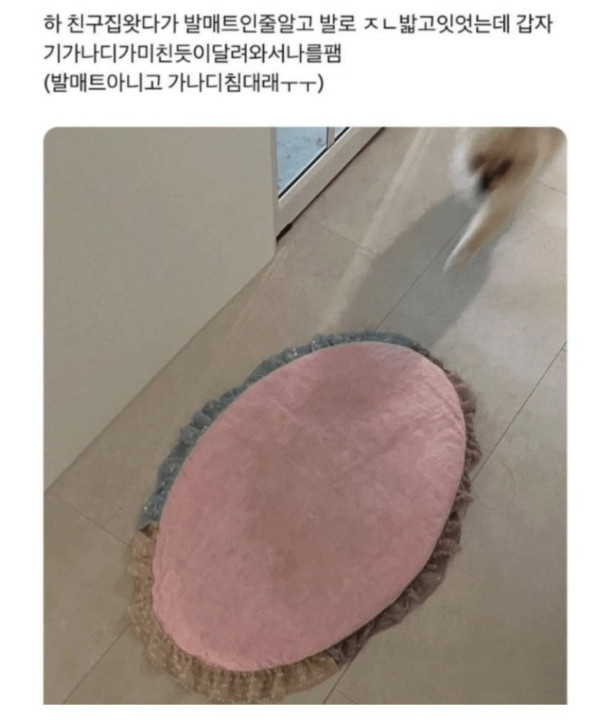 20250526114812_1eoiEA1uiq.png