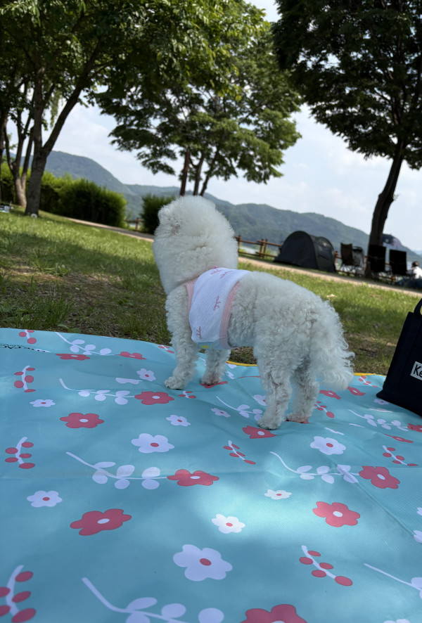 13353c606f2d8379d600169e7e775536_1748151879_6787.jpeg