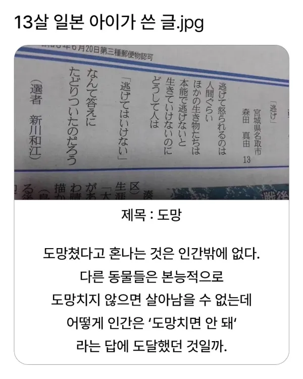 13살 일본 아이가 쓴 글.jpg