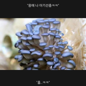 느타리버섯이 사실 &quot;육식&quot; 버섯인 이유.jpg | 인스티즈