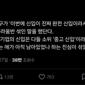 신입 공고에 찐신입이 입사할 경우 | 인스티즈