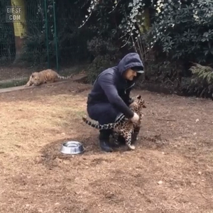 동영상 썸네일