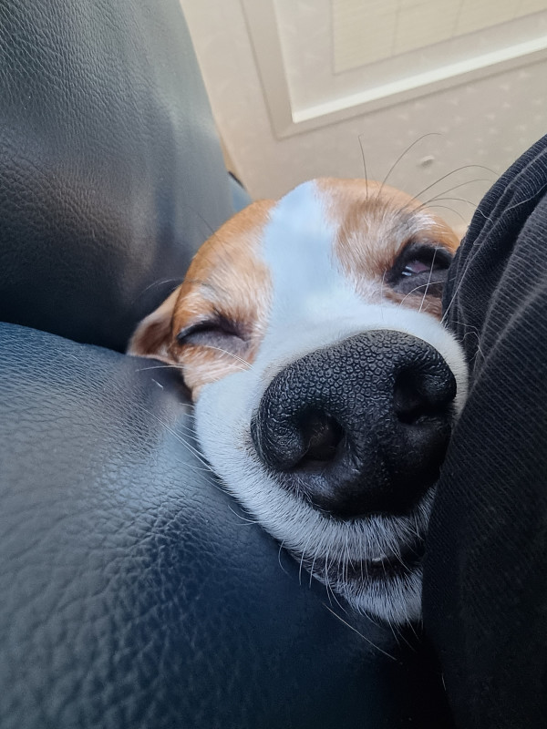 1804819ca374165e323e2e867241e9bc_1748184423_1799.jpeg