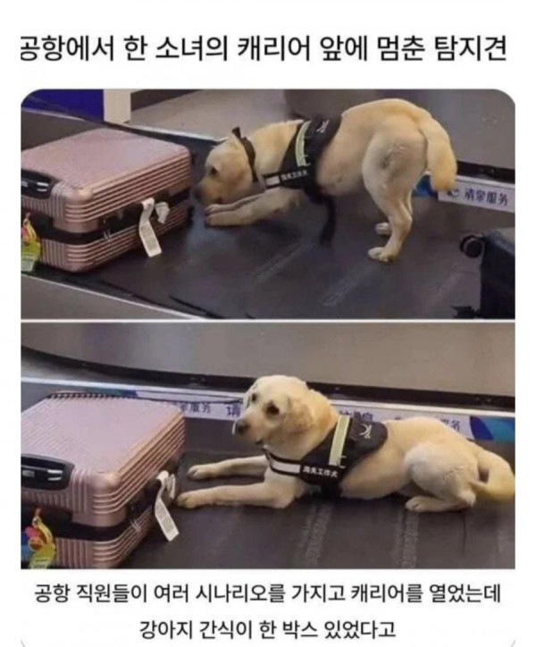 20250510183924_aVrPJTSngR.jpg