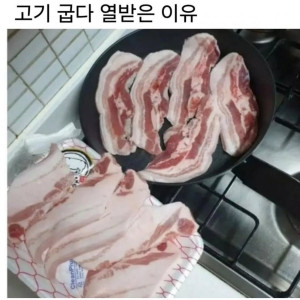 20250510183531_pbpsxt20xD.jpeg