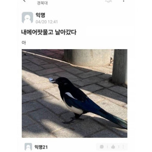 20250510182234_StsU1ypFv3.jpeg