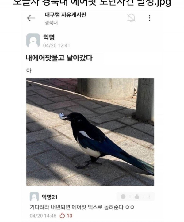 20250510182234_StsU1ypFv3.jpeg