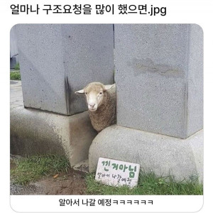 20250510181631_dmtZQrAwSW.jpeg