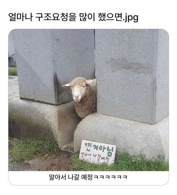 20250510181631_dmtZQrAwSW.jpeg