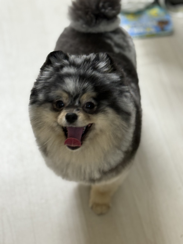 219023f50396bb62ae74d3b857d7765d_1746433925_8177.jpeg