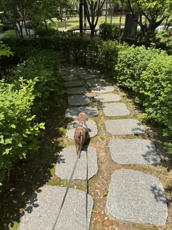 339f554834b34cf95aa527d5ac6f1866_1748155430_5991.jpeg