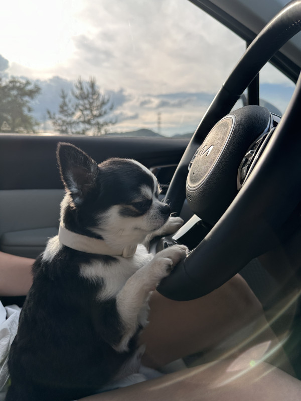 5f9f13174122d8b3407953c0fb4f4cf0_1748264080_7203.jpeg