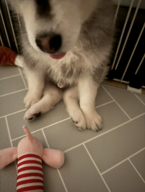 7013e3eecdfda71be988b69955a3a0e3_1748667168_1402.jpeg