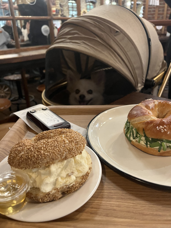 760b3b2f0f6aa205bb7f045275dcba84_1746048534_4704.jpeg