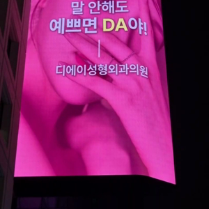 펫플루언서 이미지
