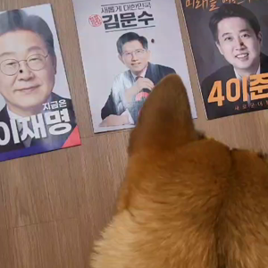 동영상 썸네일