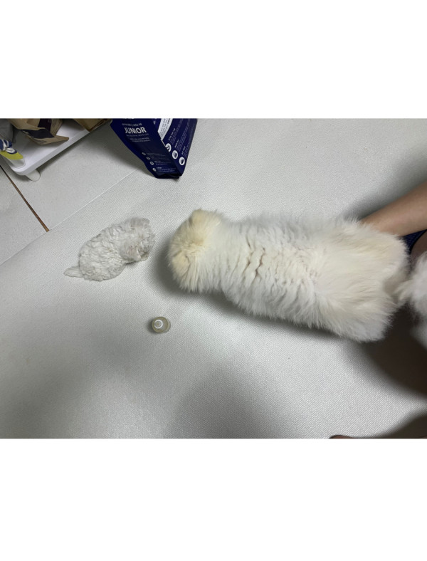 8ad6a0f8d448c8fd6835c984270113ec_1747156726_6939.jpeg