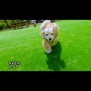 동영상 썸네일