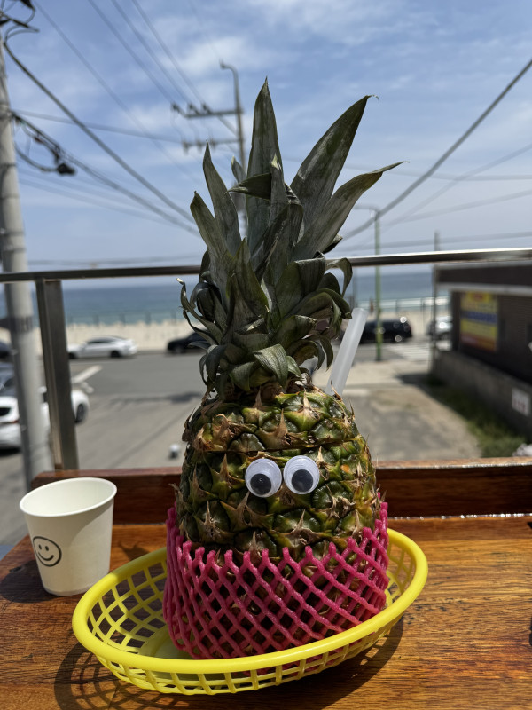 a535bd124b712461c12405c16fc757d3_1747578304_8023.jpeg
