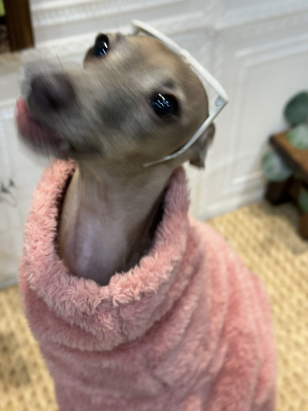 a817899595b52ac391011aef8093cf56_1746537236_6158.jpeg
