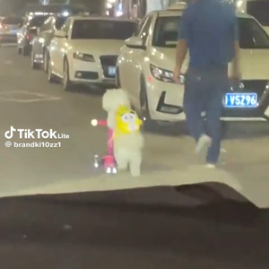 동영상 썸네일