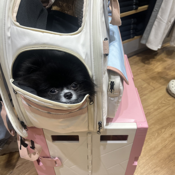 b10ae01f46605ed0b5b406fe681814ef_1748055200_6180.jpeg