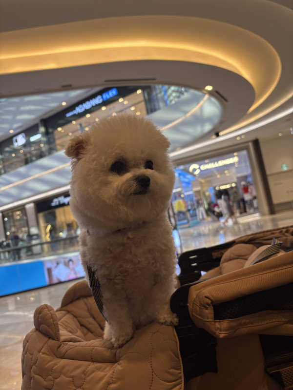 b933a3eeb078db928d58d8cf3e8e130f_1748225600_1129.jpeg