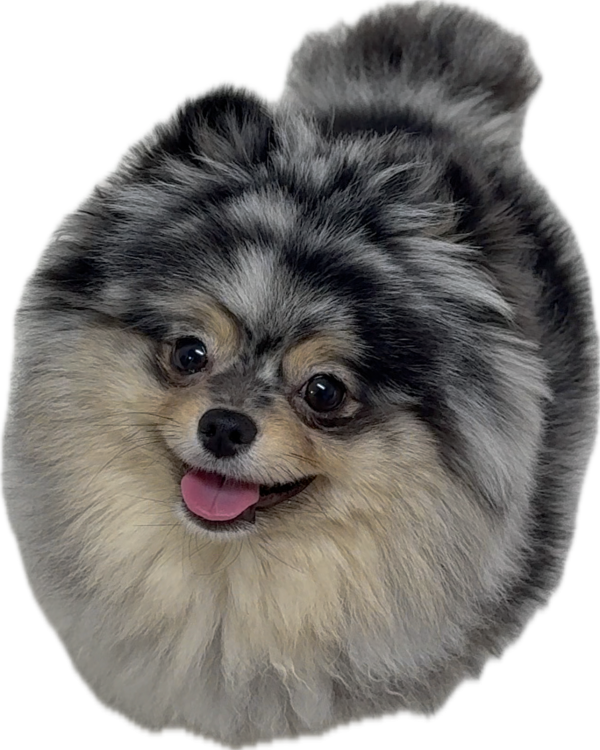 c6bd2d8ee75593573e84306a02e9f2dc_1746359594_8600.png