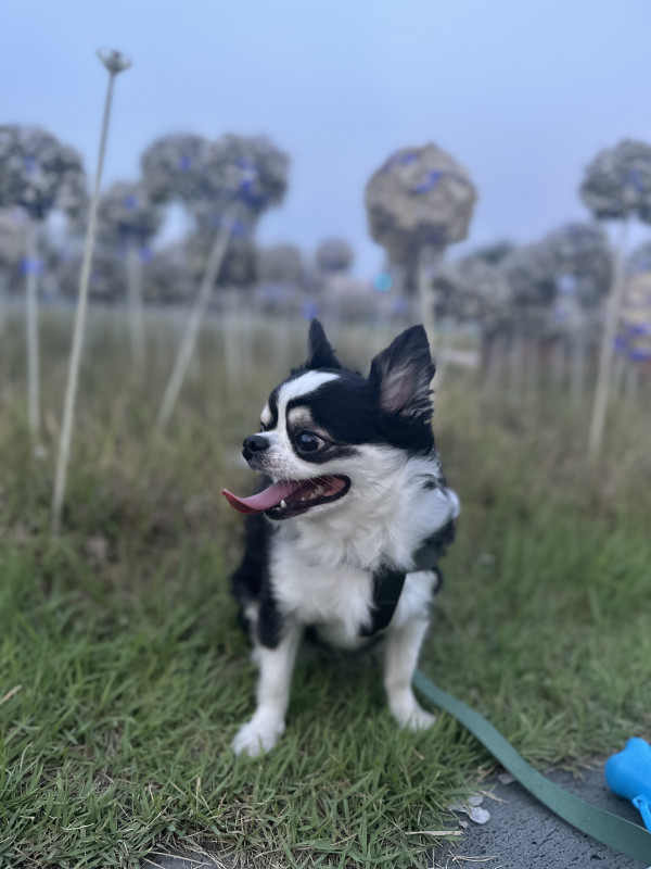 cf96e818b3f05261bd0d1c5c61bc9ef1_1748264079_9964.jpeg