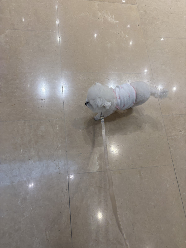d2380b6a439f463df1b23c631d14c6fd_1748407847_6875.jpeg