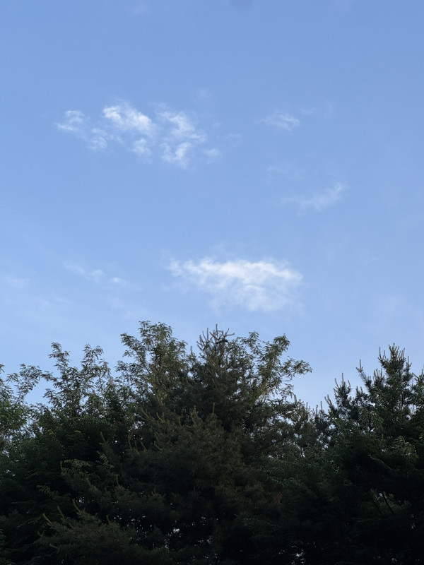 d5f9e81094360ffddde9a6aacd375196_1748008337_4707.jpeg