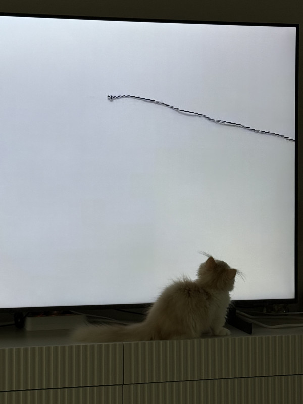e8ba4b63498fa3165f0e4824806dab5e_1746777058_1092.jpeg