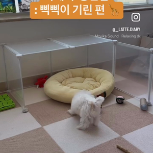 동영상 썸네일