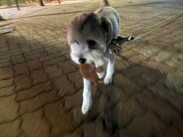f7e012d2f717bcf5ccedf80a4df91627_1747374541_8201.png