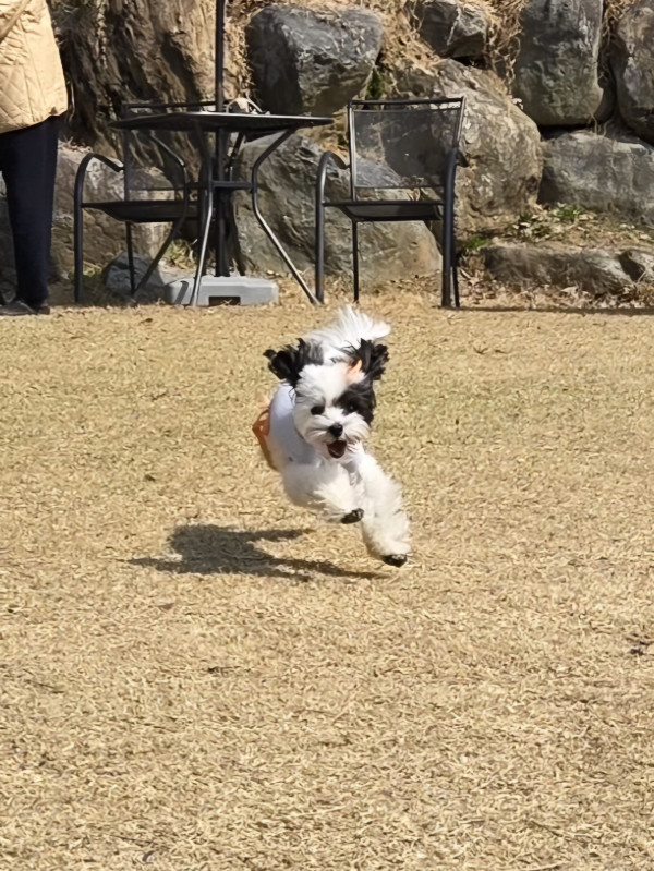 ff27205b0753488c18b734212ad58bb5_1748433900_1574.jpg