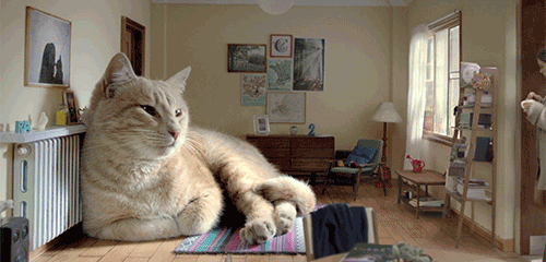 c01268f66ce2616b4ab380b6ea6da171.gif