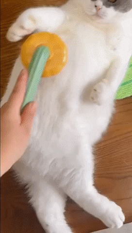 6af0838e1f9e7990902620c8f5e465b6.gif