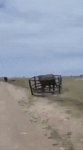 20250628225828_W88lum6ZNL.gif
