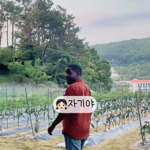 동영상 썸네일