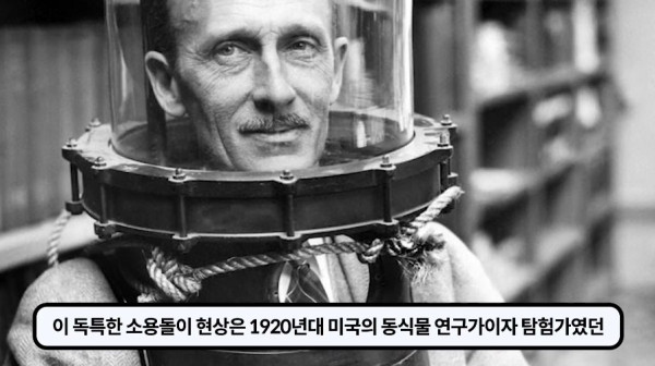 1000017750.jpg 개미떼가 빙글빙글 돌다 죽어나가는 현상