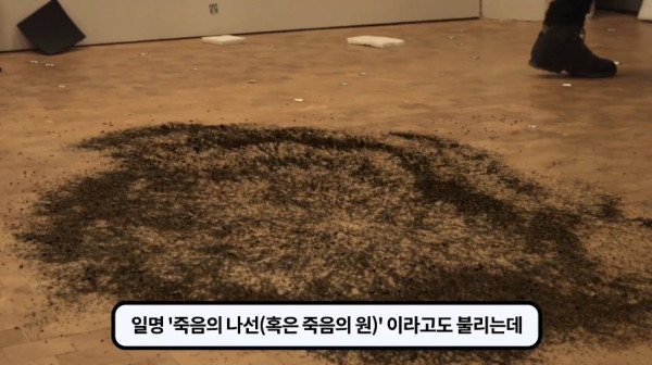 1000017747.jpg 개미떼가 빙글빙글 돌다 죽어나가는 현상