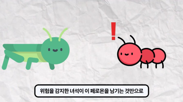 1000017761.jpg 개미떼가 빙글빙글 돌다 죽어나가는 현상
