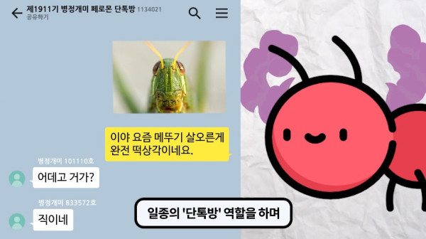 1000017762.jpg 개미떼가 빙글빙글 돌다 죽어나가는 현상