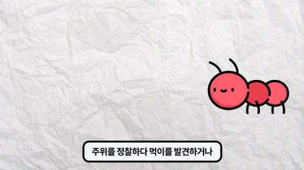 1000017760.jpg 개미떼가 빙글빙글 돌다 죽어나가는 현상