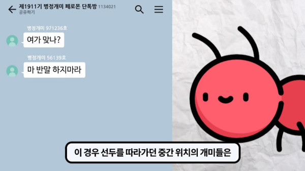 1000017772.jpg 개미떼가 빙글빙글 돌다 죽어나가는 현상