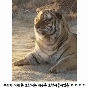 동영상 썸네일