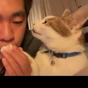 동영상 썸네일