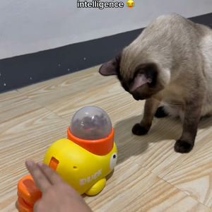 동영상 썸네일