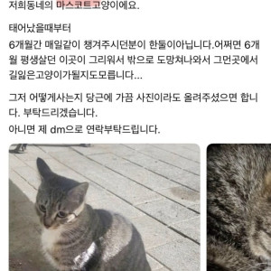 1000031520.jpg sns에서 난리났다는 길고양이 입양사건.jpg