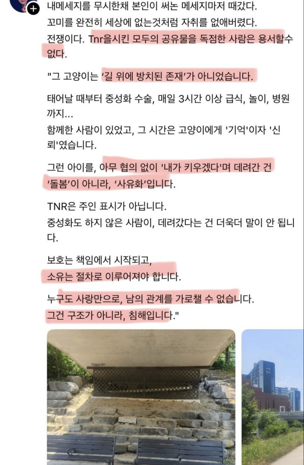 1000031523.jpg sns에서 난리났다는 길고양이 입양사건.jpg